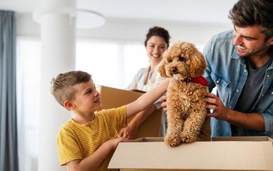 A man and child stroking a dog who's standing in a moving box, with a woman carrying a moving box in the background smiling at them.